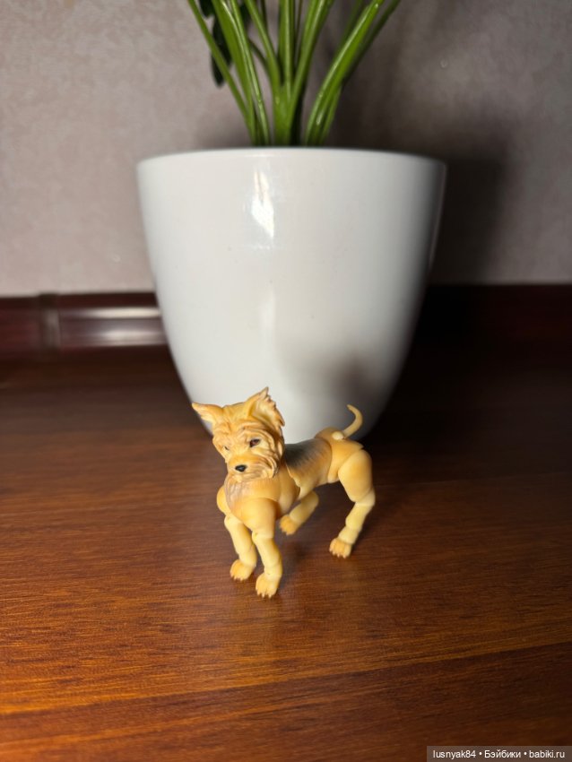 Йорский терьер фотополимер. БЖД