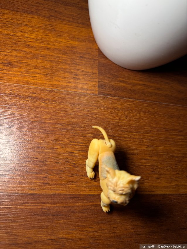 Йорский терьер фотополимер. БЖД (фото 3)