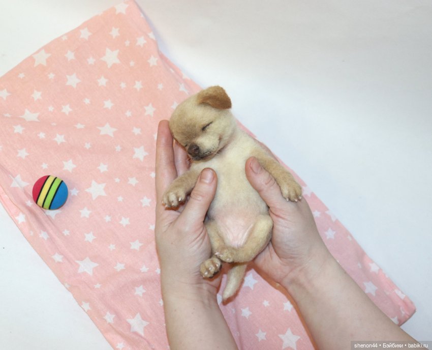 Щенок лабрадора — Авторские игрушки (фото 5)