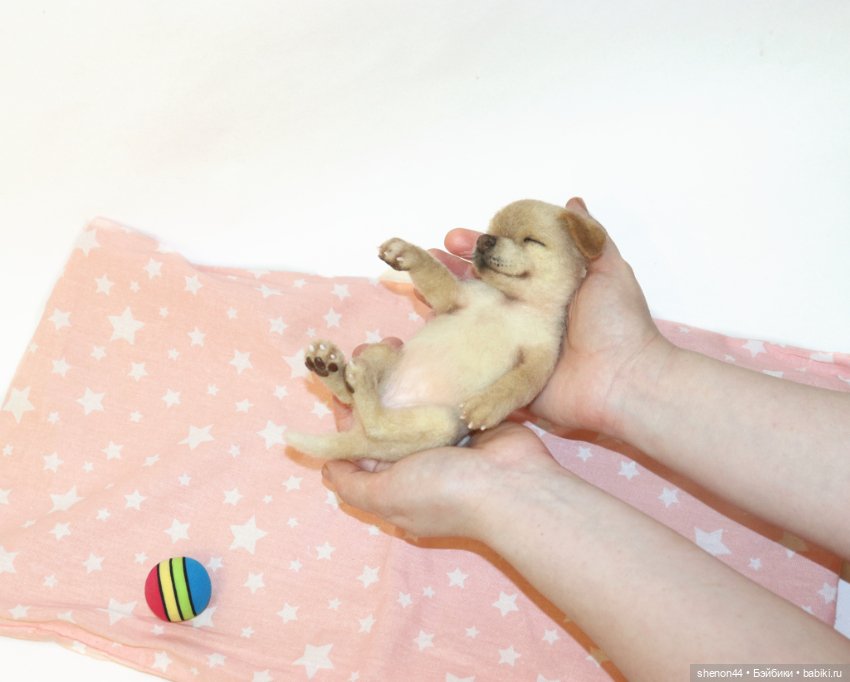 Щенок лабрадора — Авторские игрушки (фото 3)