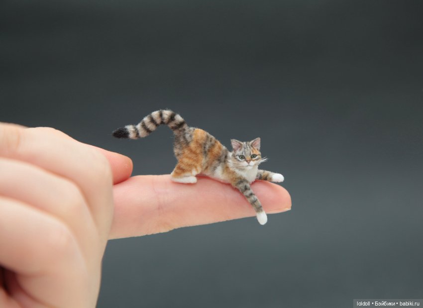 Миниатюрный трёхцветный кот, размер 1к12