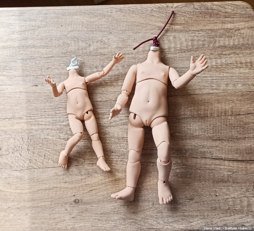 Лот БЖД тел для Паола Рейна и мини Паола Рейна Г. Карповой (фото 6)