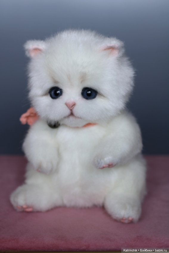 Котенок 21 см (тедди тело) (фото 5)