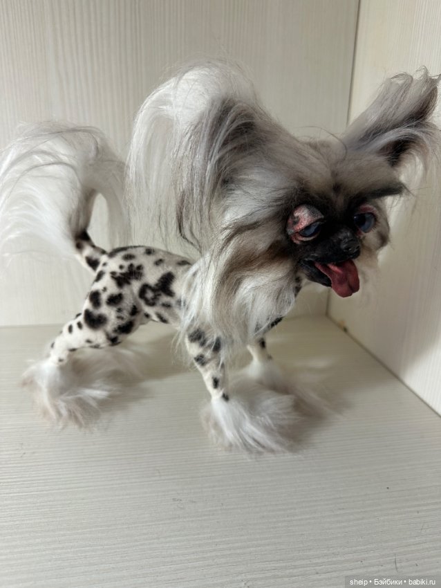 Китайская хохлатая от Ольги Малышевой (фото 2)