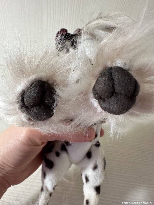 Китайская хохлатая от Ольги Малышевой (фото 3)