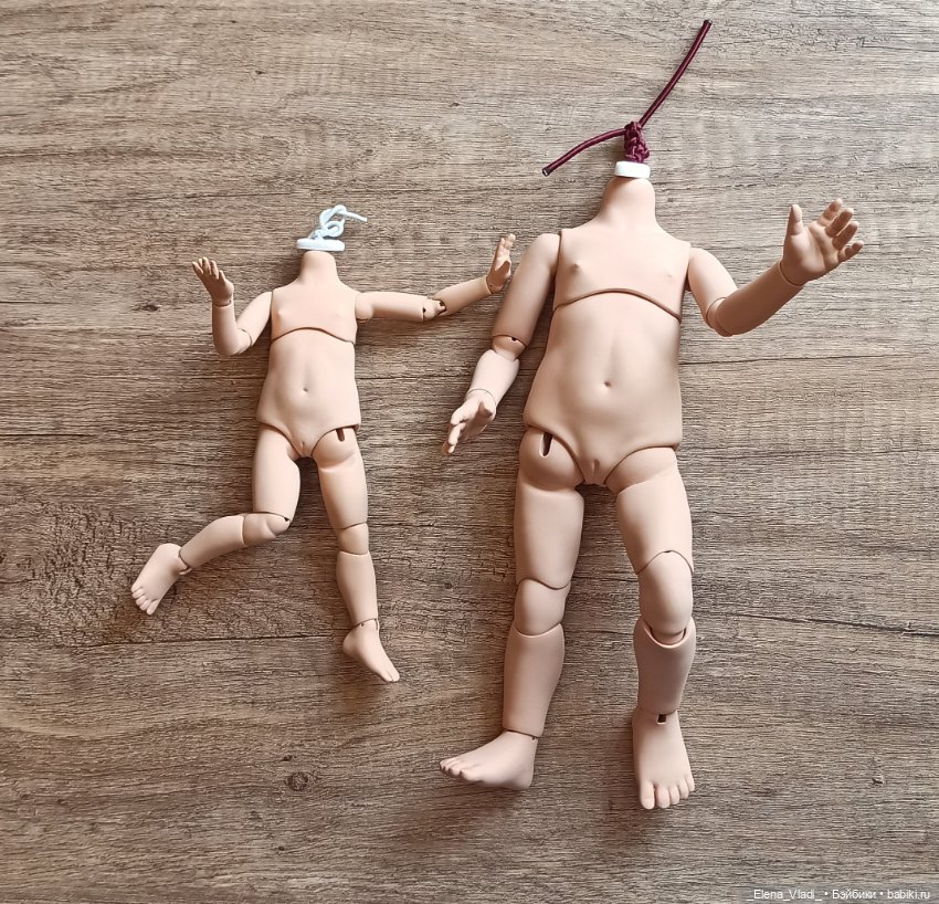 Лот БЖД тел для Паола Рейна и мини Паола Рейна Г. Карповой (фото 8)