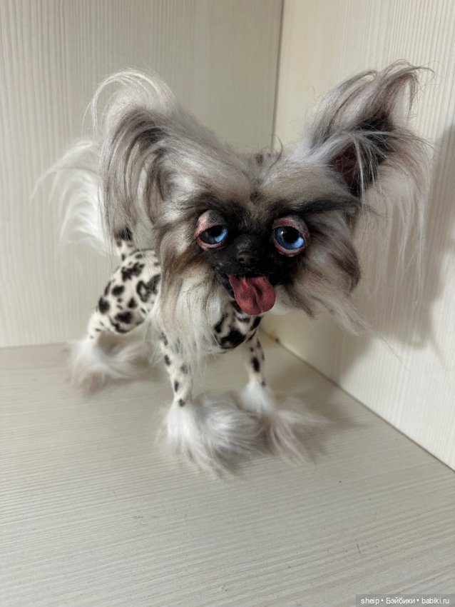 Китайская хохлатая от Ольги Малышевой