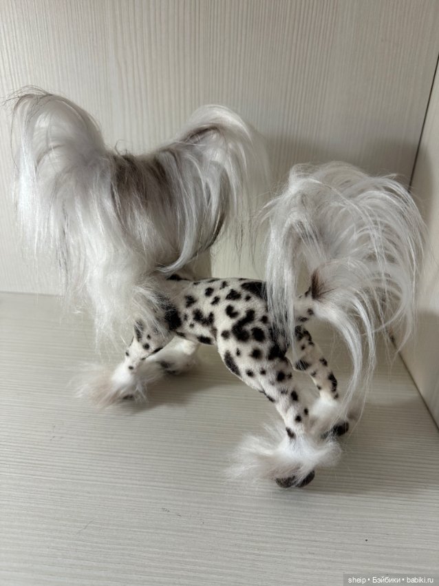 Китайская хохлатая от Ольги Малышевой (фото 5)
