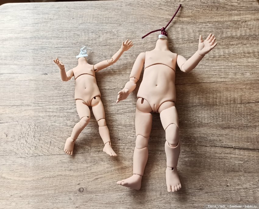 Лот БЖД тел для Паола Рейна и мини Паола Рейна Г. Карповой (фото 7)