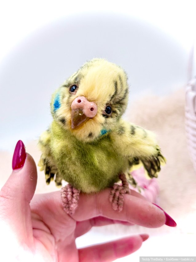 Авторские игрушки (фото 8)