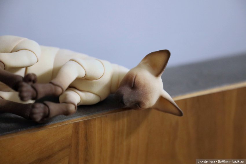 Шарнирный кот ориентал Eve Studio Dolls (фото 2)