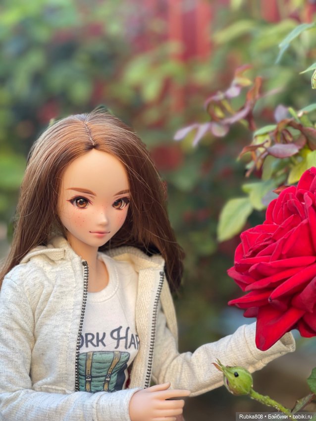 Smartdoll — Шарнирные куклы (не BJD) (фото 4)