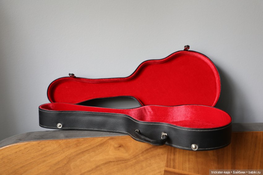 Чехол для гитары Crobidoll (фото 2)