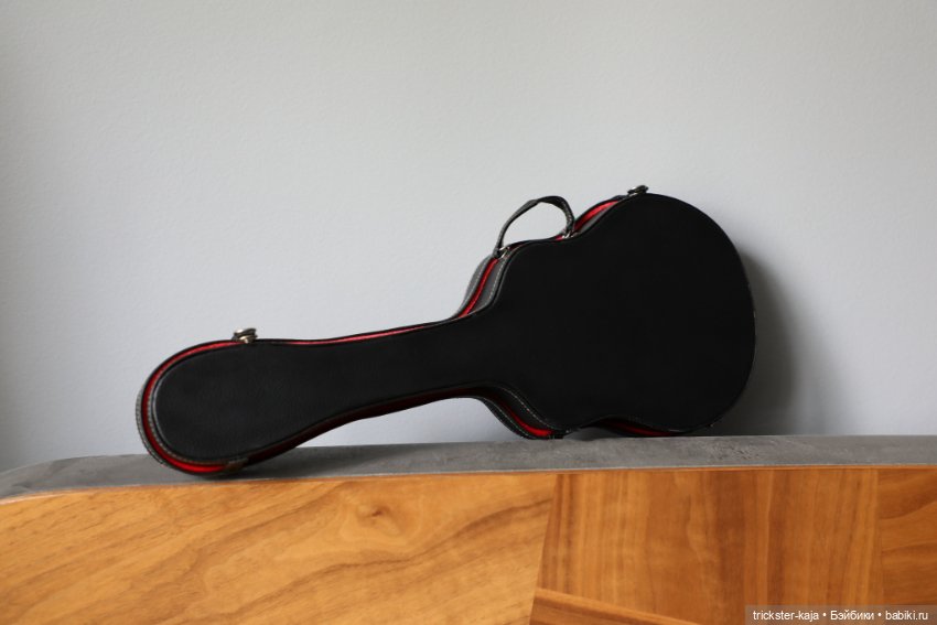 Чехол для гитары Crobidoll