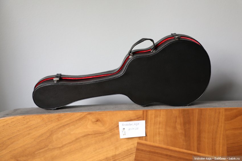 Чехол для гитары Crobidoll (фото 3)