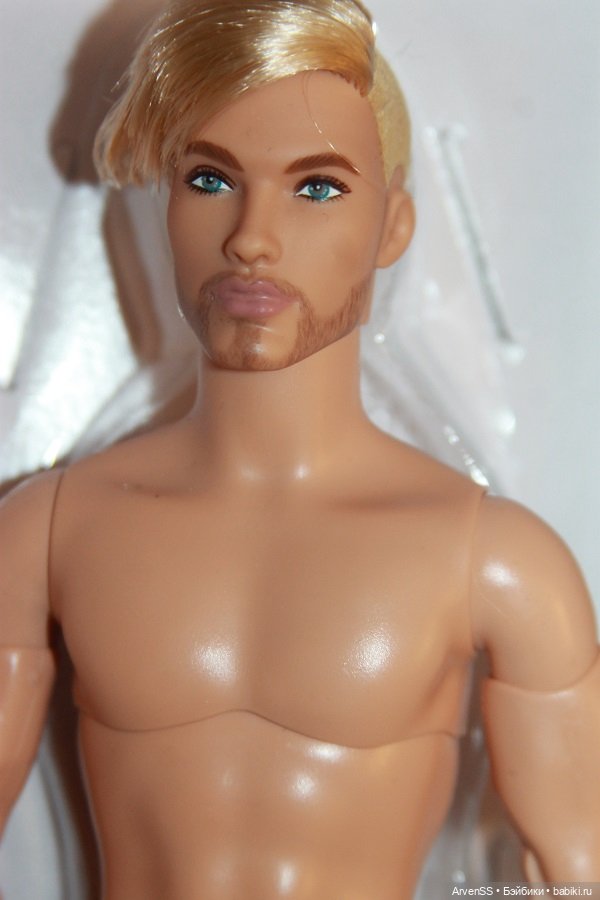 Кен Looks Шон — Шарнирные куклы (не BJD) (фото 3)