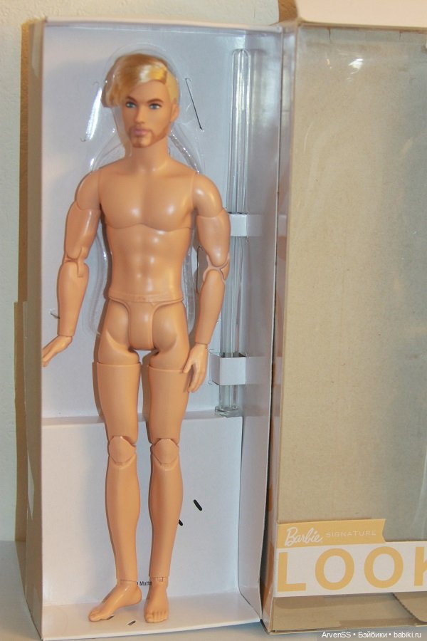 Кен Looks Шон — Шарнирные куклы (не BJD)