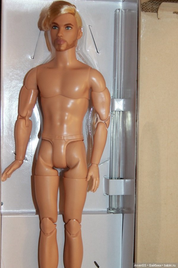 Кен Looks Шон — Шарнирные куклы (не BJD) (фото 2)