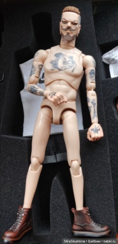 Гибрид Taholicy, голову могу продать отдельно (фото 4)