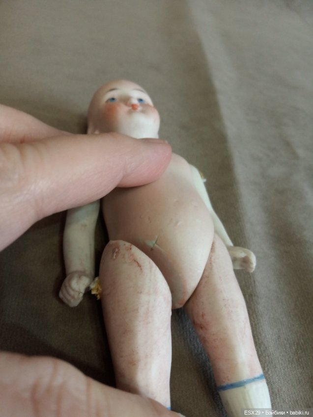 Славный морячок, малыш миньонетта