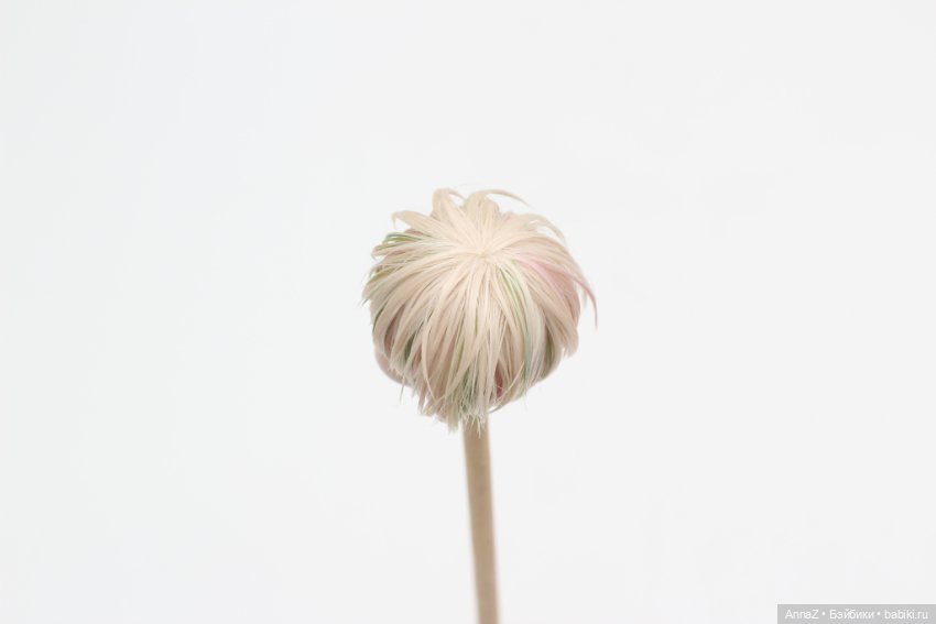 Парик для Жу/Лоло Даши Нужновой (фото 10)