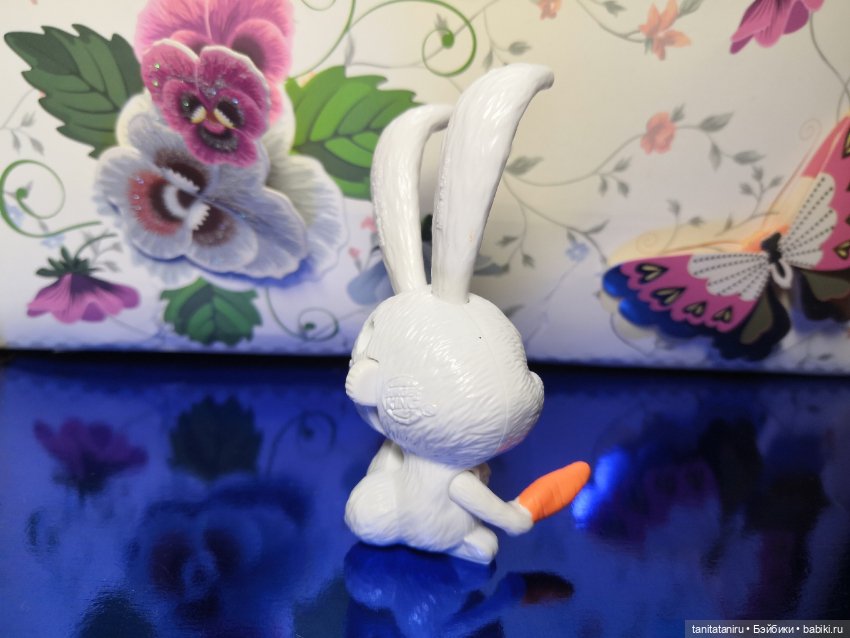 Тайная жизнь домашних животных (фото 4)