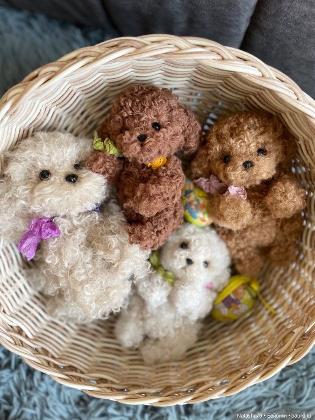 Щенки пуделя и болонки — Авторские игрушки (фото 5)
