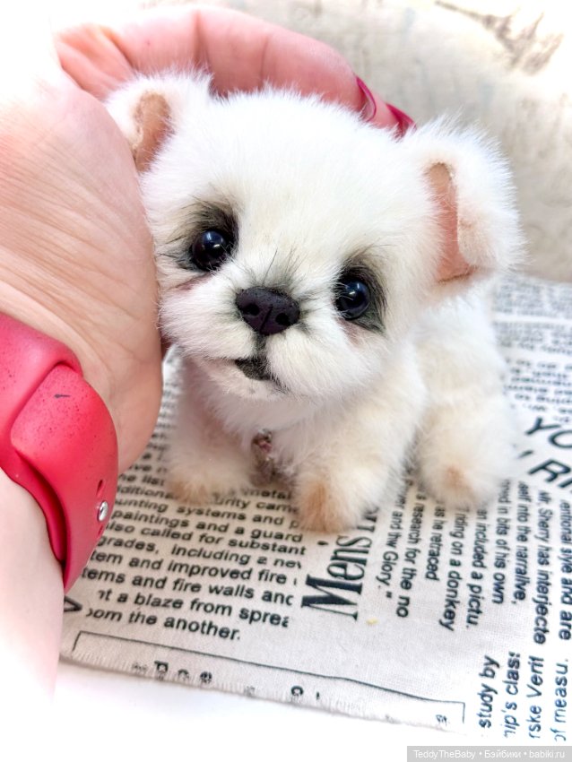 Пломбирчик — Авторские игрушки (фото 10)