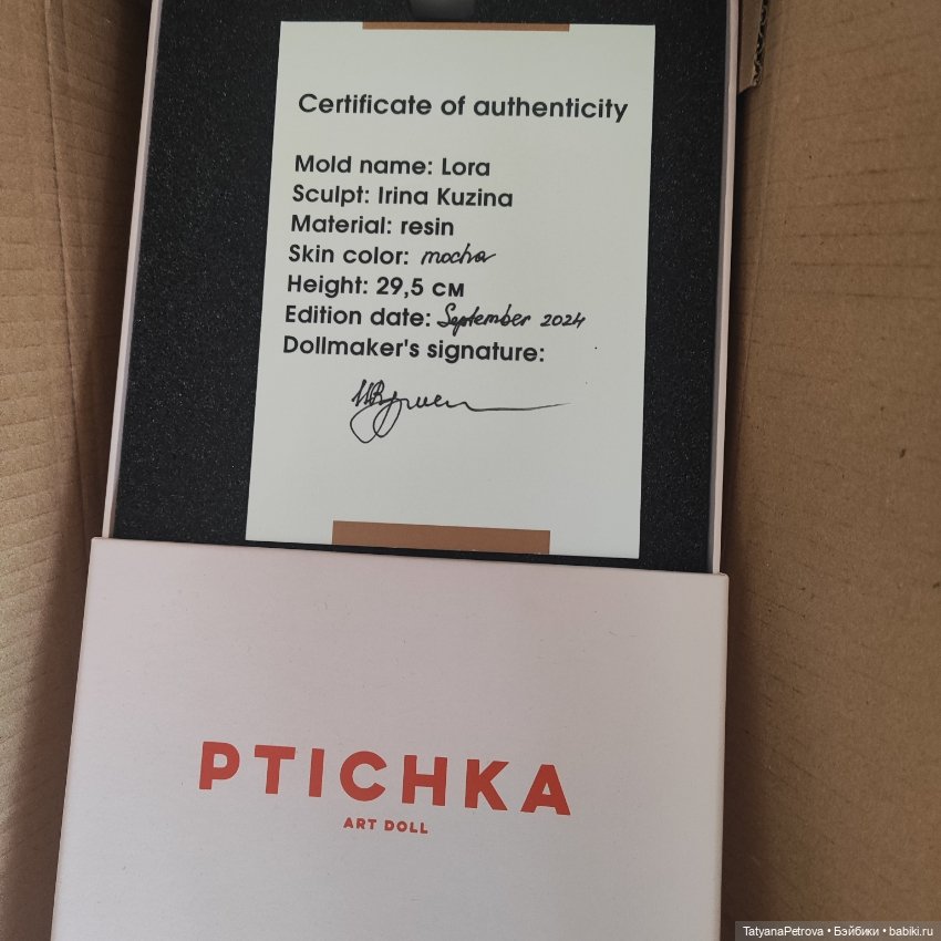 Птичка Лора — Авторские куклы BJD (фото 5)