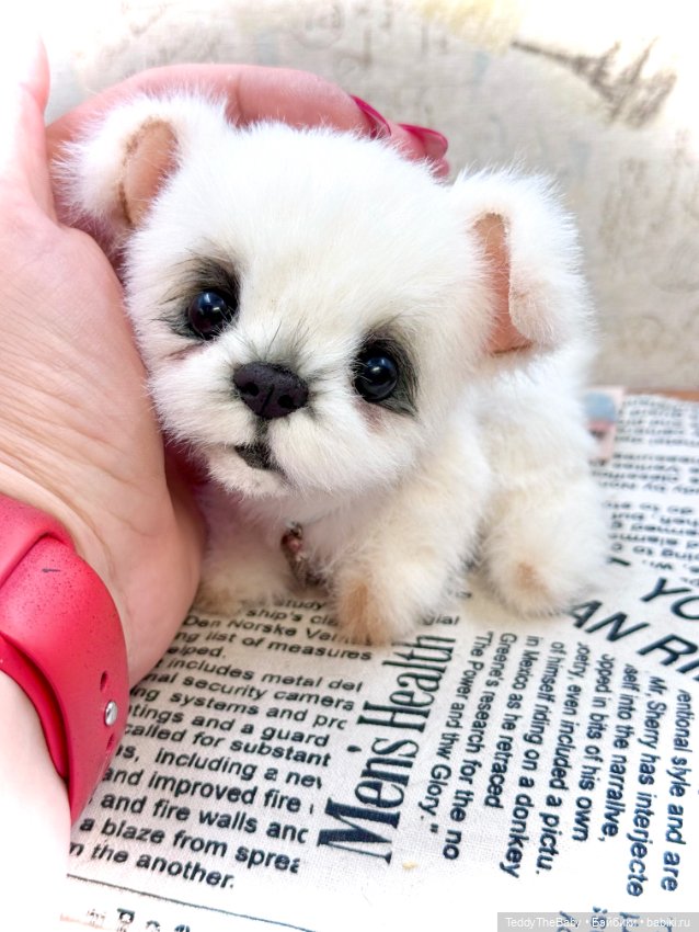 Пломбирчик — Авторские игрушки (фото 4)