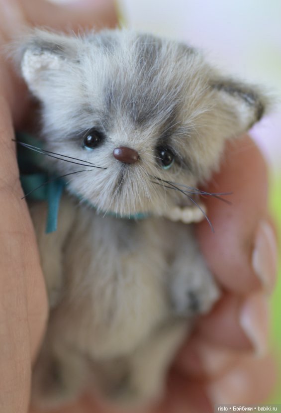 Милый котёнок Васятка от Ольги Беловой (фото 5)