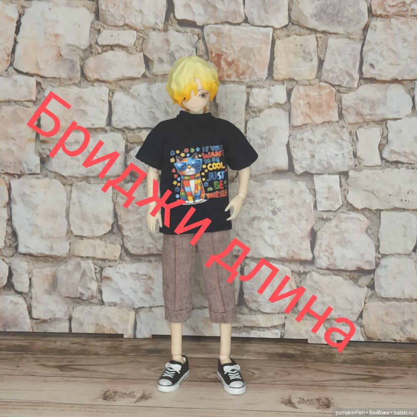 Футболка и брюки\бриджи\шорты для Сицилийских псов (фото 6)