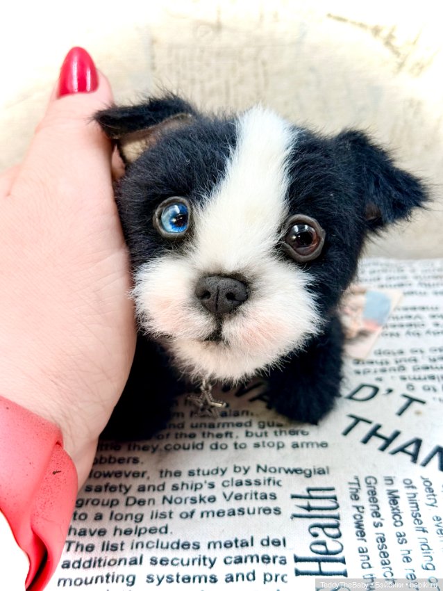 Авторские игрушки (фото 6)