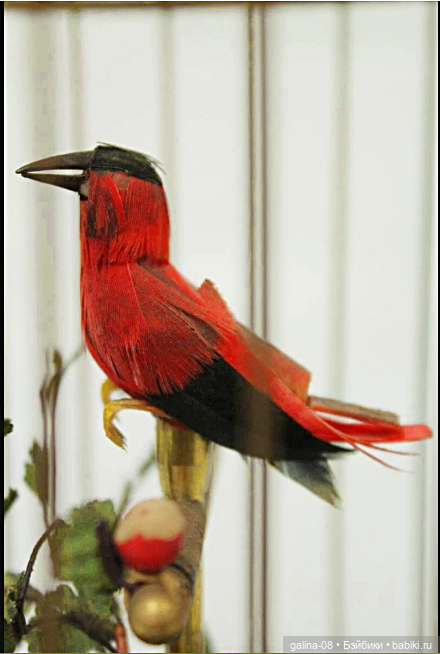 Автоматон Поющие птички — Антикварные игрушки (фото 5)