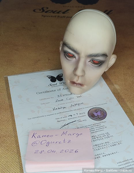 Продам голову Souldoll Zenith Colin (white skin) (фото 3)