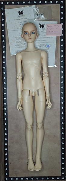 Продам Souldoll Kids Shaun (normal skin) (фото 4)