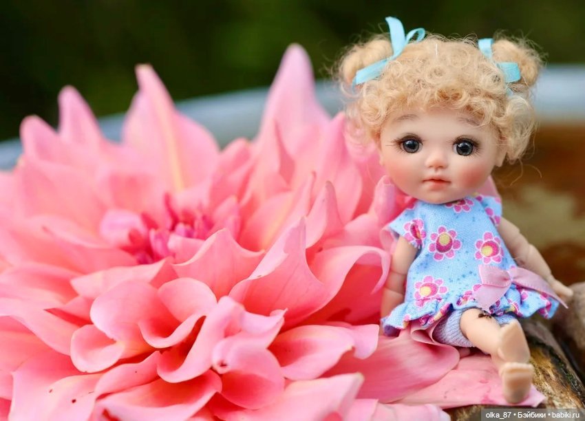 Mommo Meadow dolls — Куклы BJD (фото 5)