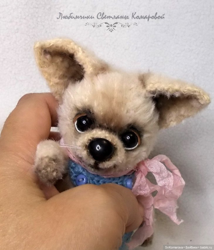 Чихуашка сумкин — Авторские игрушки (фото 4)