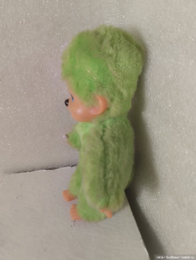 Обезьяна, обезьянка мончичи (фото 5)