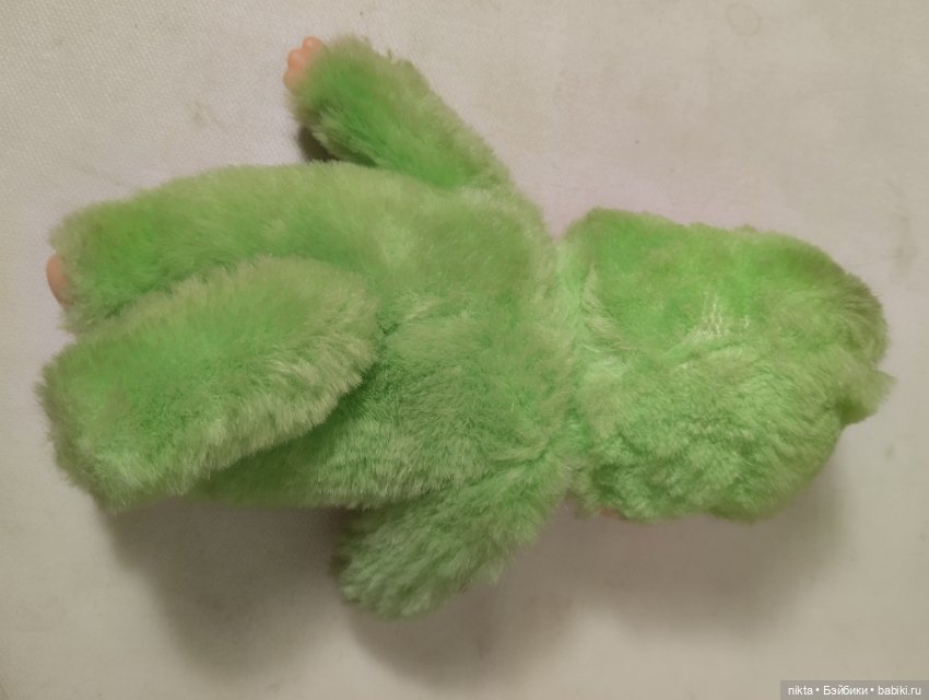 Обезьяна, обезьянка мончичи (фото 4)