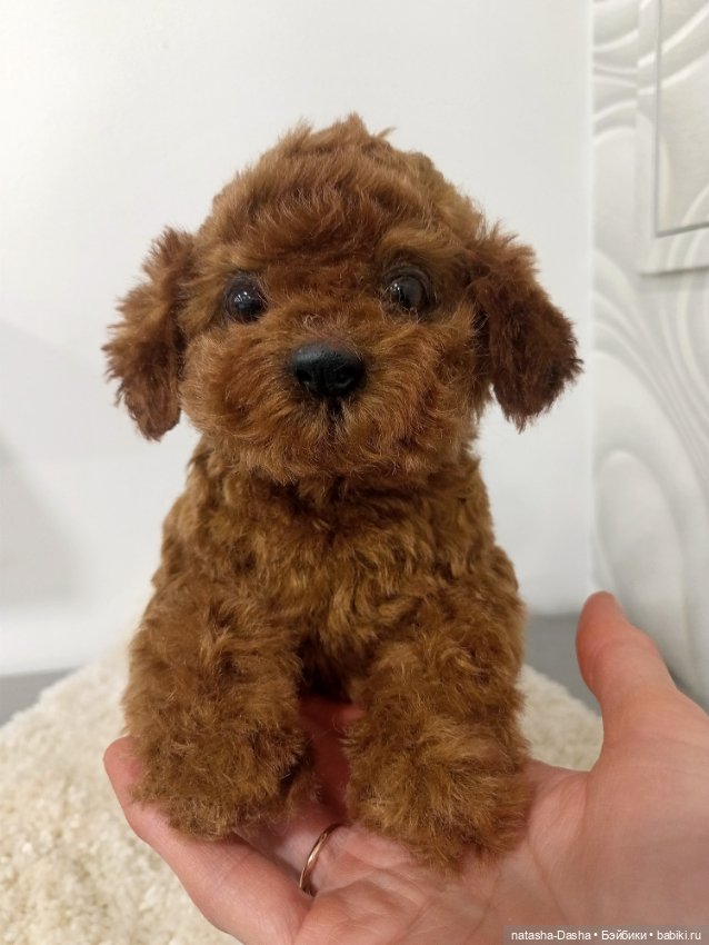 Щеночек мини пуделя 🐶🐕🐾 — Авторские игрушки (фото 7)