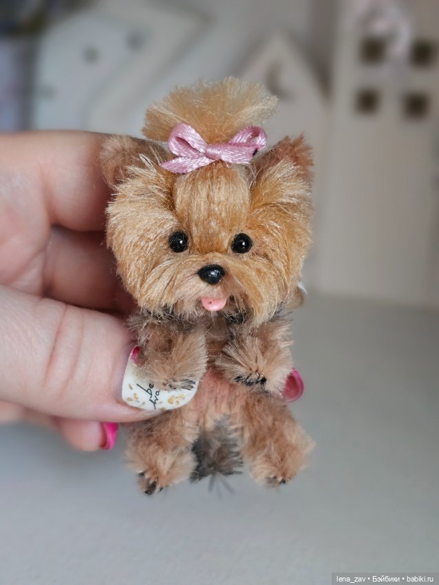 Йорки , бивер йорки и мальтезе для куколок