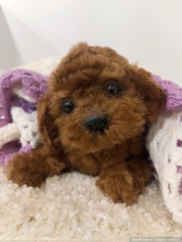 Щеночек мини пуделя 🐶🐕🐾 — Авторские игрушки (фото 4)