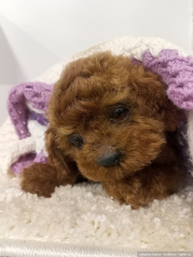 Щеночек мини пуделя 🐶🐕🐾 — Авторские игрушки