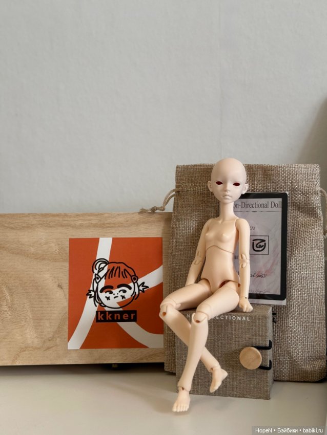 Nia Noctis doll — Куклы BJD (фото 2)