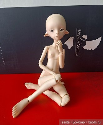 Dream Valley Dream Valley >> 1/6 Doll >> Rin