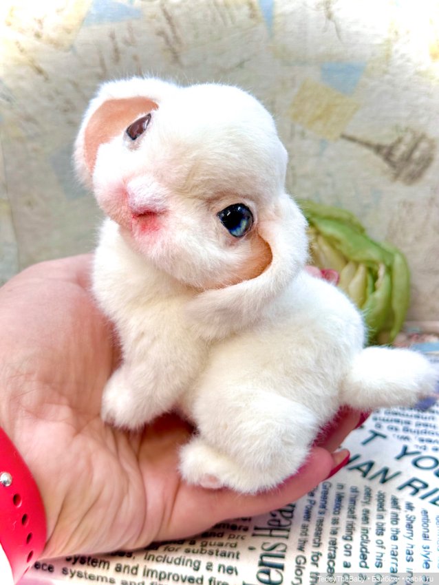 Cotton — Авторские игрушки (фото 7)