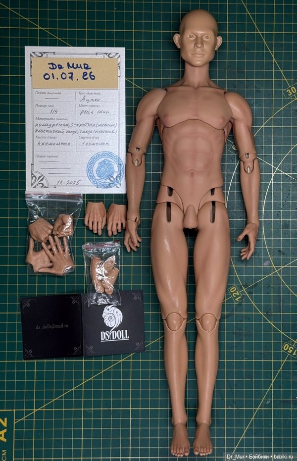 Продам 1/4 DS Doll Питбуль
