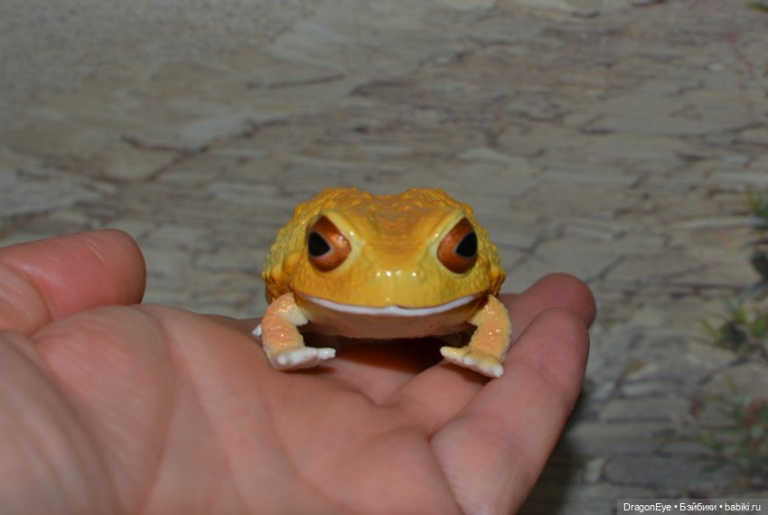 Bandai Gashapon лягушка №1 (фото 7)