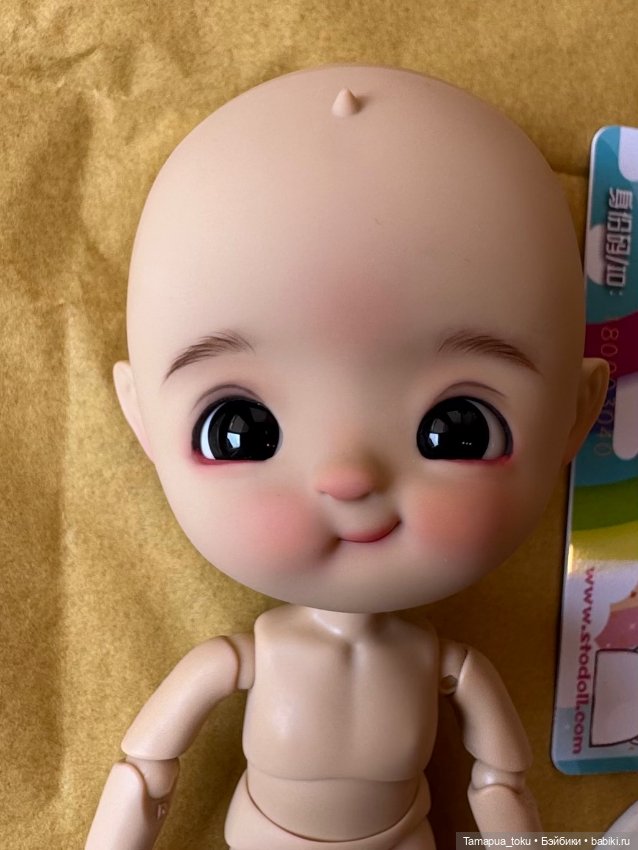 StoDoll куколка (ob11) — Куклы BJD (фото 7)